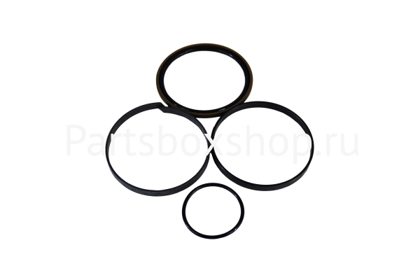 Ремкомплект гидроцилиндра S48/81008 OKKS - заказать Ремкомплект гидроцилиндра S48/81008 OKKS